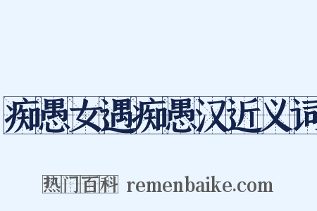 痴愚女遇痴愚汉近义词是什么意思的图片